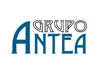 Juan Pedro Gonzalez | Director de Antea.